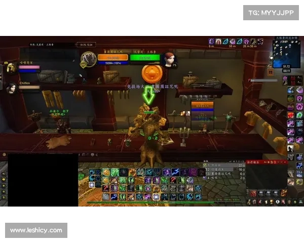 魔兽世界怀旧服：探索模型等级，解锁新奇之旅